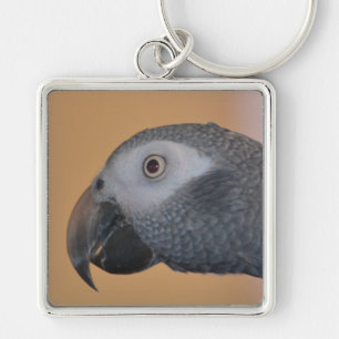 Porte-clés Porte - clé de perroquets gris d'Afrique