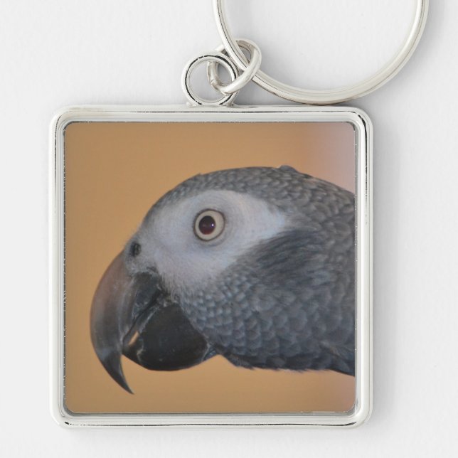 Porte-clés Porte - clé de perroquets gris d'Afrique (Devant)