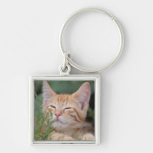 Porte-clés Porte - clé de photo d'animal familier