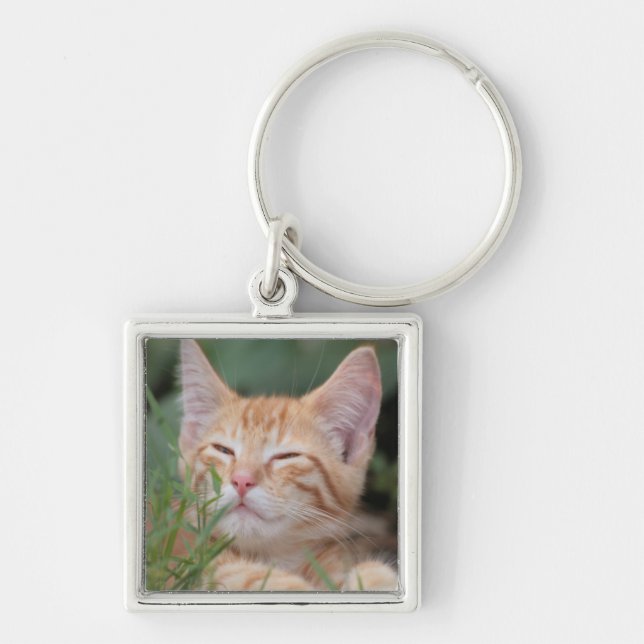 Porte-clés Porte - clé de photo d'animal familier (Devant)