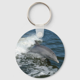 Porte-clés porte - clé de photo de dauphin de bottlenose