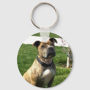 Porte-clés Porte - clé de Pitbull