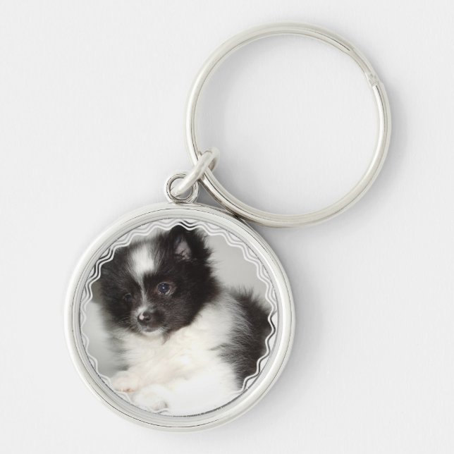 Porte-clés Porte - clé de Pomeranian de jouet (Devant)