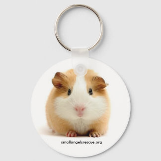 Porte-clés Porte - clé de porc de Guinée bébé
