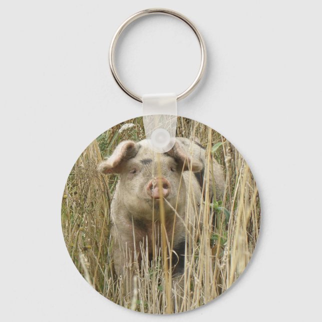 Porte-clés Porte - clé de porc mignon (Recto)