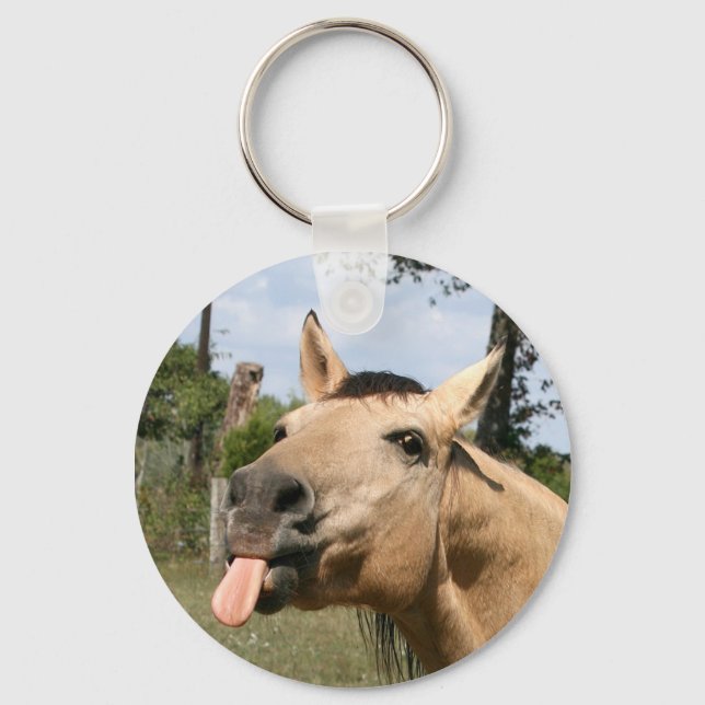 Porte-clés Porte - clé de raszberry à cheval (Recto)