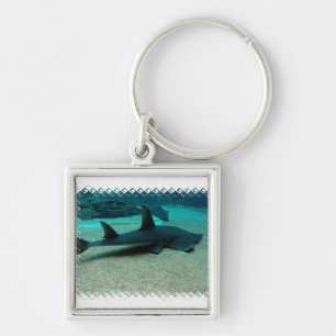 Porte-clés Porte - clé de requin de sable