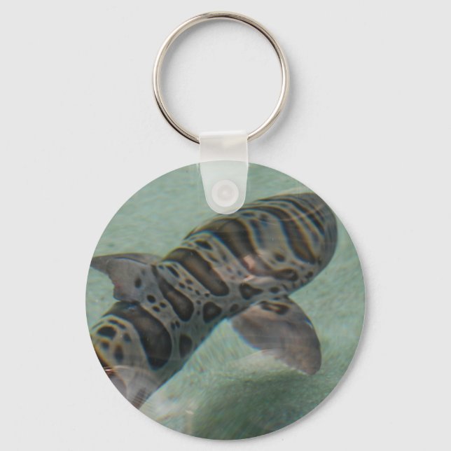 Porte-clés Porte - clé de requins tigres (Recto)