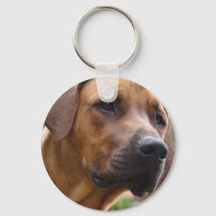 Porte-clés Porte - clé de Rhodesian Ridgeback