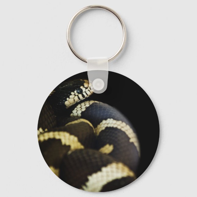 Porte-clés Porte - clé de serpent de Californie (Recto)