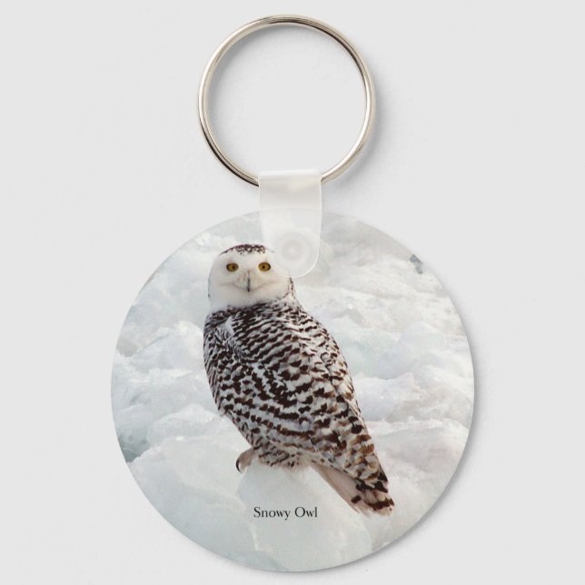 Porte-clés Porte - clé de Snowy Owl (Recto)