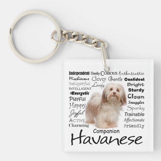 Porte-clés Porte - clé de traits de Havanese (Devant)