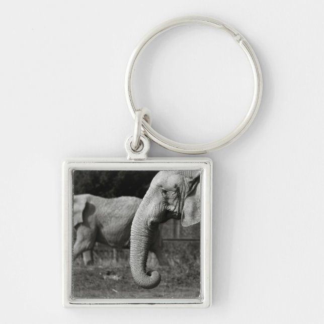 Porte-clés Porte - clé d'éléphants asiatiques (Devant)