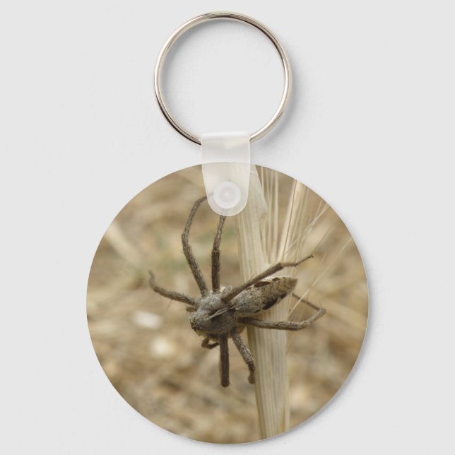 Porte-clés Porte - clé déplaisant Crawly Spider (Recto)