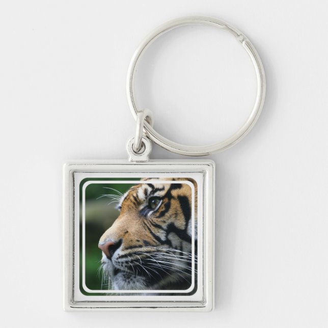 Porte-clés Porte - clé d'image de tigre (Devant)