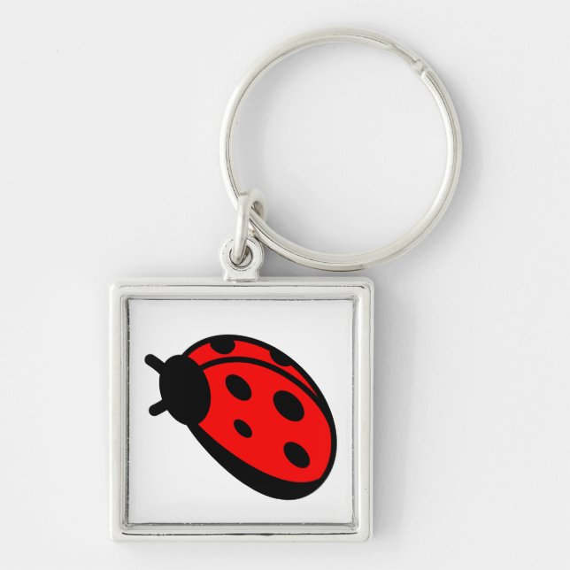 Porte-clés Porte - clé d'impression Lady Bug (Devant)