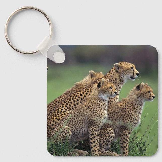 Porte-clés Porte - clé du porte - clé-Cheetah (Recto)