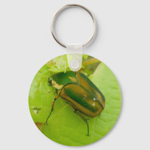 Porte-clés Porte - clé du scarabée de juin vert