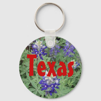 Porte-clés Porte - clé du Texas