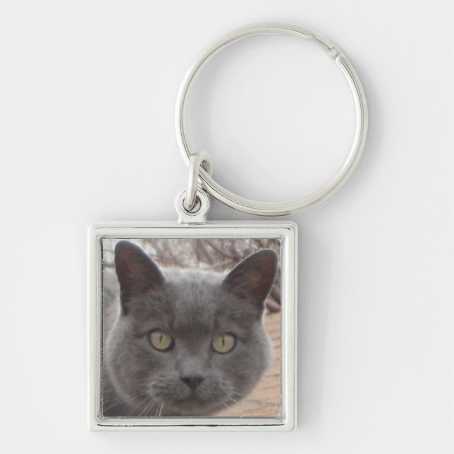 Porte-clés Porte - clé du toit de chat gris (Devant)