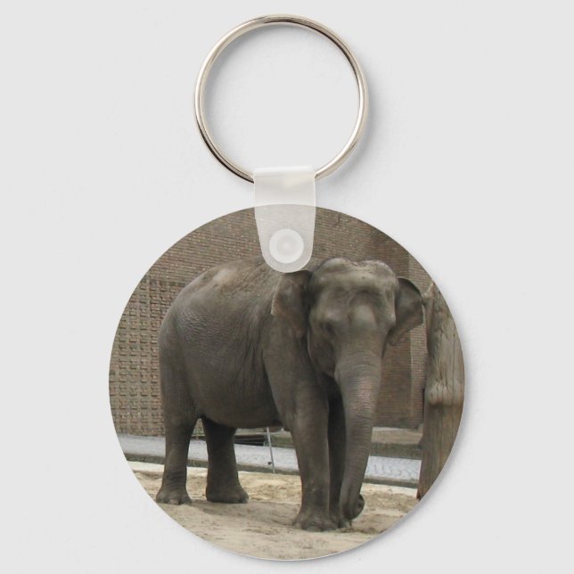 Porte-clés Porte - clé ÉLÉPHANT (Recto)