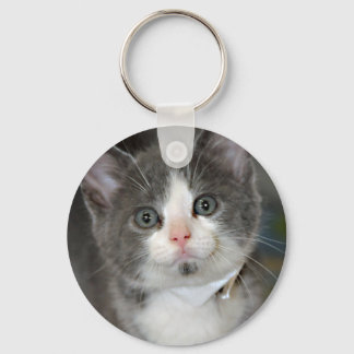 Porte-clés Porte - clé gris/gris/argenté et chaton blanc