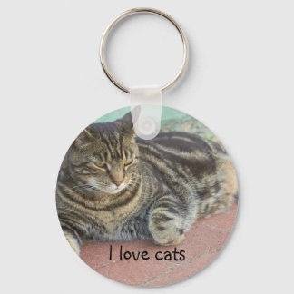 Porte-clés porte - clé "I love cats"