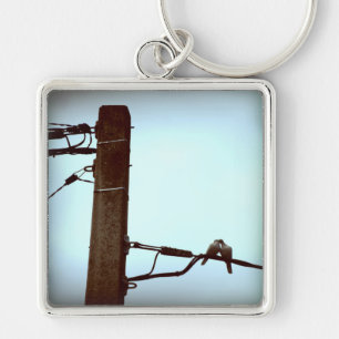 Porte-clés PORTE - CLÉ KISS Pigeons