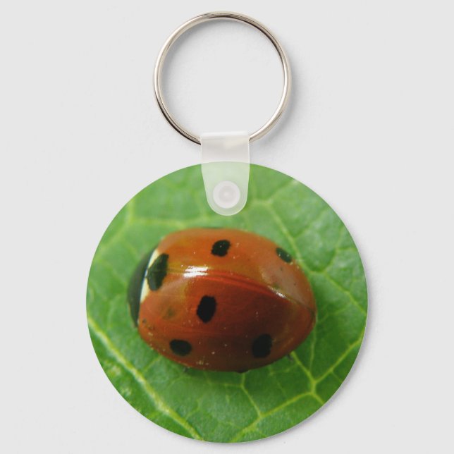 Porte-clés Porte - clé Ladybug (Recto)