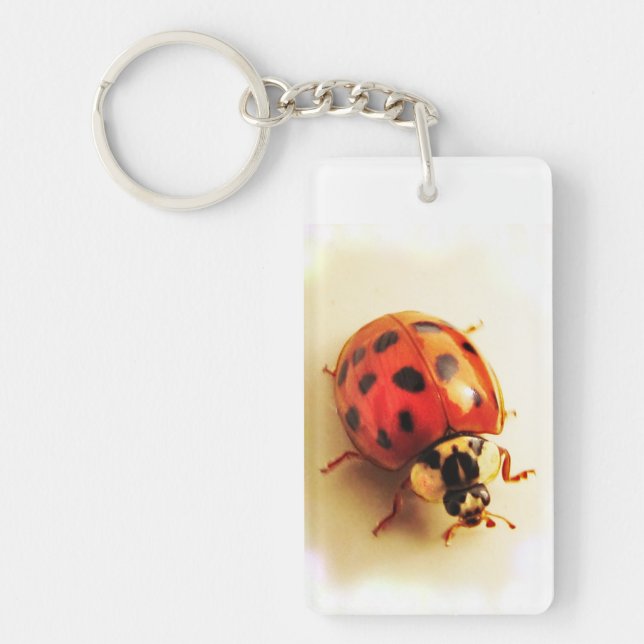 Porte-clés Porte - clé Ladybug (Devant)