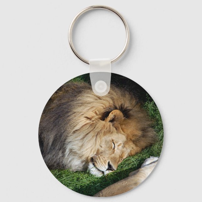 Porte-clés Porte - clé Lion (Recto)