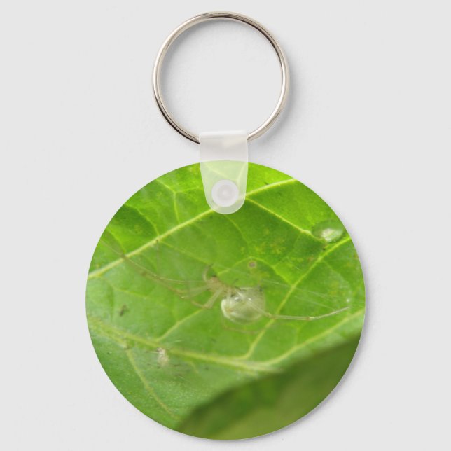 Porte-clés Porte - clé Little Spider (Recto)