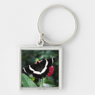 Porte-clés Porte - clé Lolipop papillon