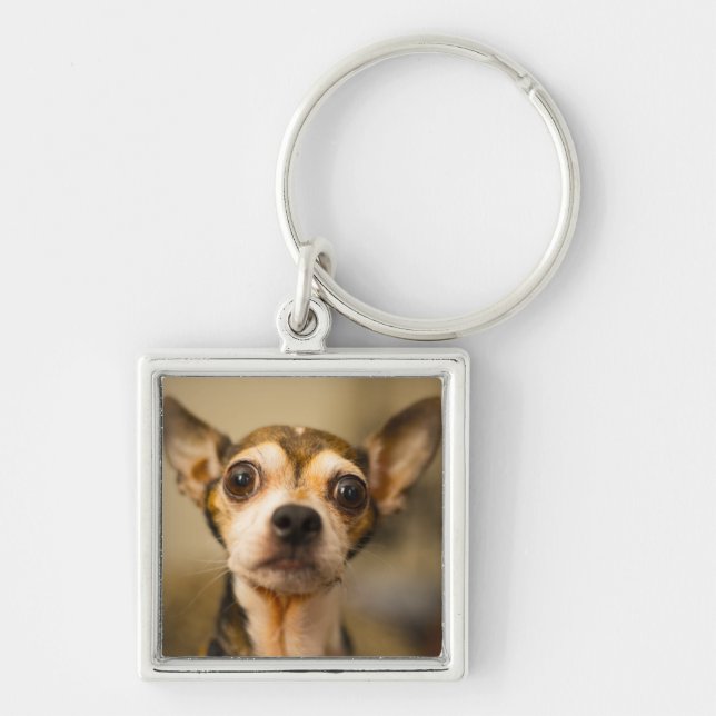 Porte-clés Porte - clé mignon 10 de chien (Devant)
