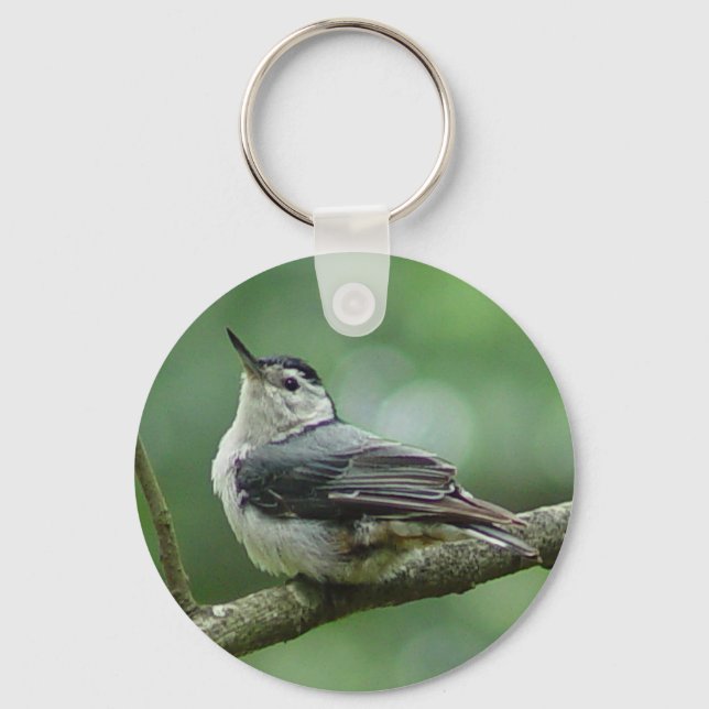 Porte-clés Porte - clé nuthatch à poitrine blanche 2 (Recto)