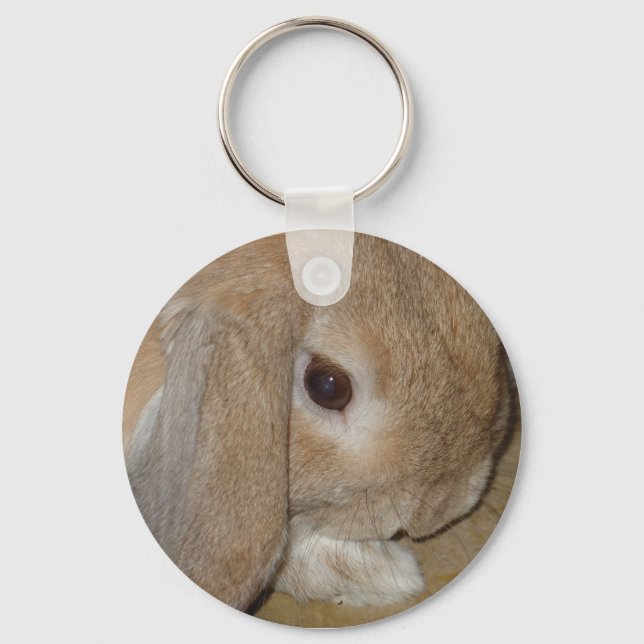 Porte-clés Porte - clé ou clavier - Lop Earl Lapin nain (Recto)