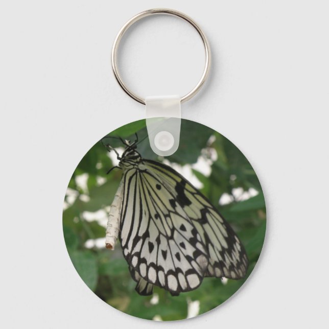 Porte-clés Porte - clé Papier Tropical Kite Butterfly (Recto)