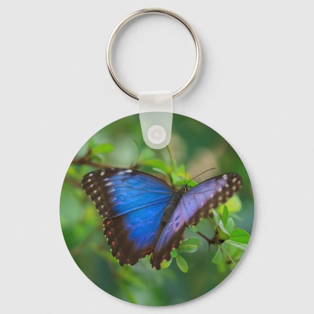Porte-clés Porte - clé papillon bleu Morpho (Recto)