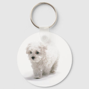 Porte-clés Porte - clé photo Bichon Frise