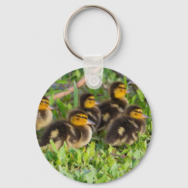 Porte-clés Porte - clé photo Ducklings (Recto)