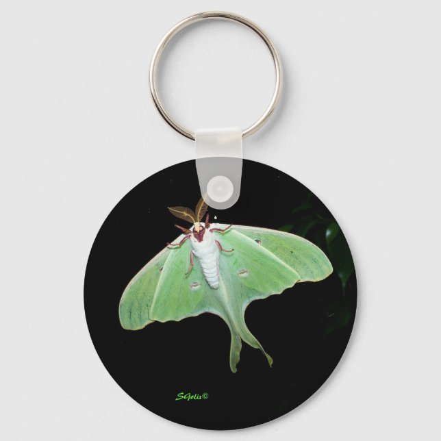 Porte-clés Porte - clé photo Luna Moth (Recto)