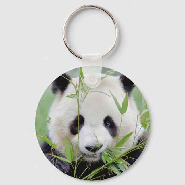 Porte-clés porte - clé Photo panda géant, animaux 0218. (Recto)