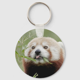 Porte-clés porte - clé Photo panda rouge, animaux 0325.