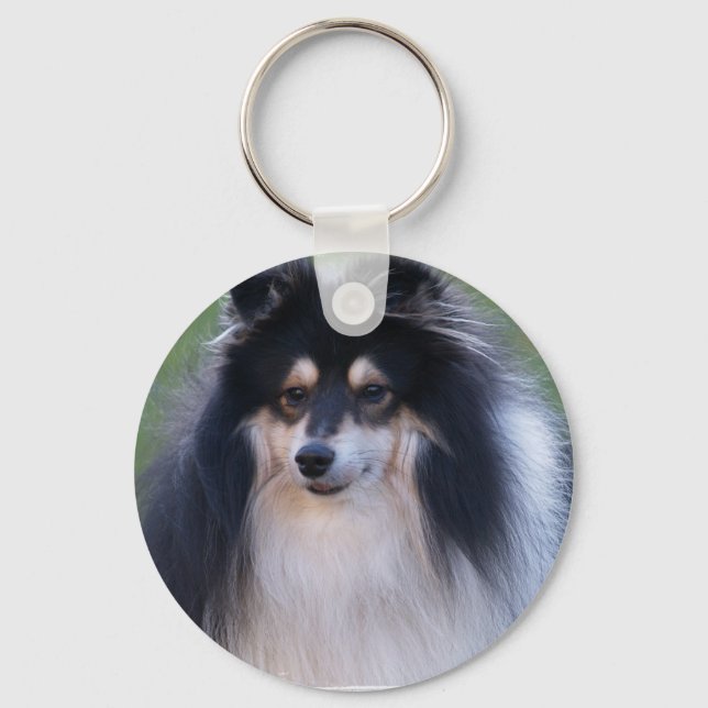 Porte-clés Porte - clé photo Sheltie (Recto)