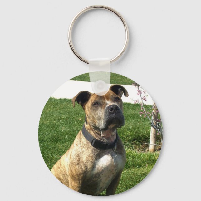 Porte-clés Porte - clé Pitbull (Recto)