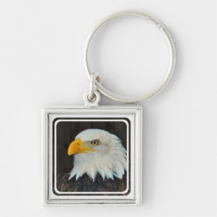 Porte-clés Porte - clé principal d'Eagle