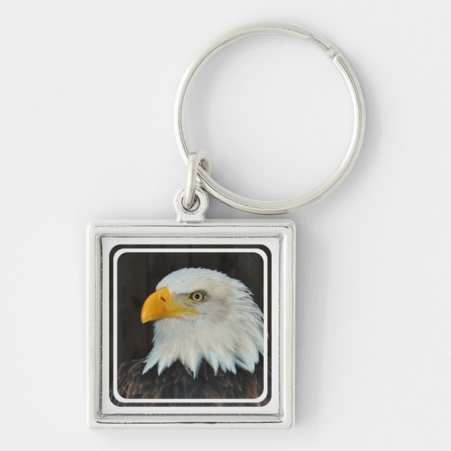 Porte-clés Porte - clé principal d'Eagle (Devant)