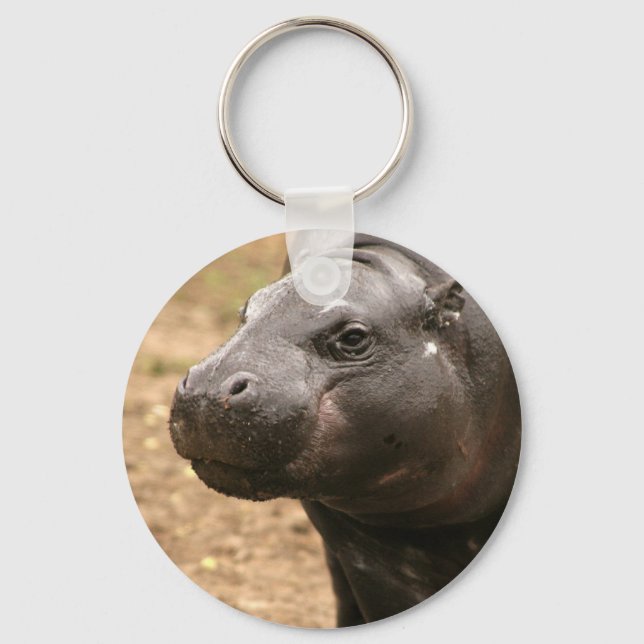 Porte-clés Porte - clé Pygmy Hippo (Recto)