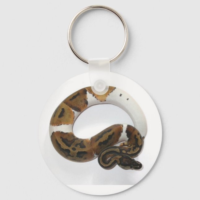 Porte-clés porte - clé python à bille de piebald (Recto)