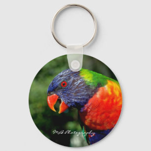 Porte-clés Porte - clé Rainbow Lorikeet